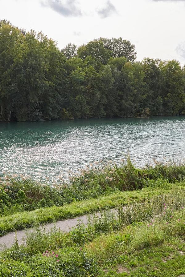 Paradis Champenois Damery Kültér fotó